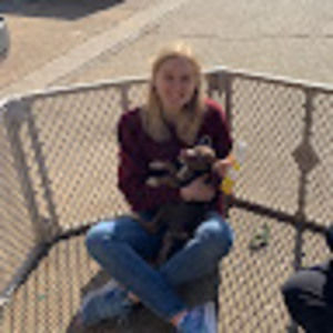 Meet your Posher, Annie